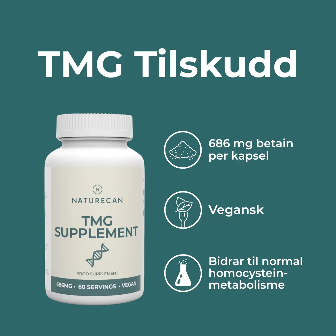 TMG Tilskudd