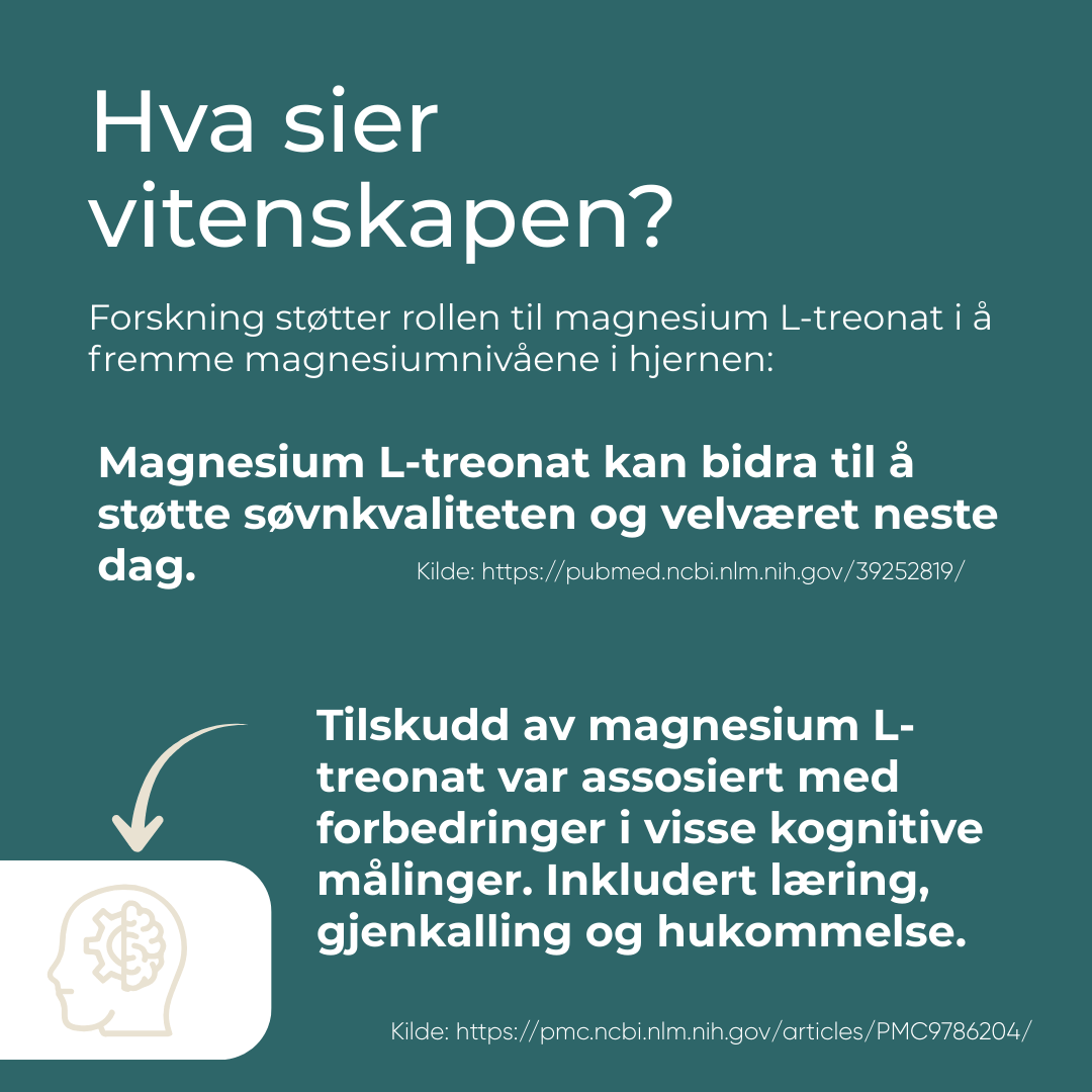 Vitenskapen til Magnesium L-Threonate