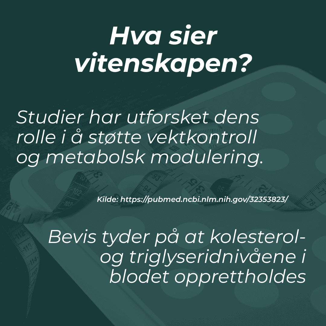 vitenskapen om berberine