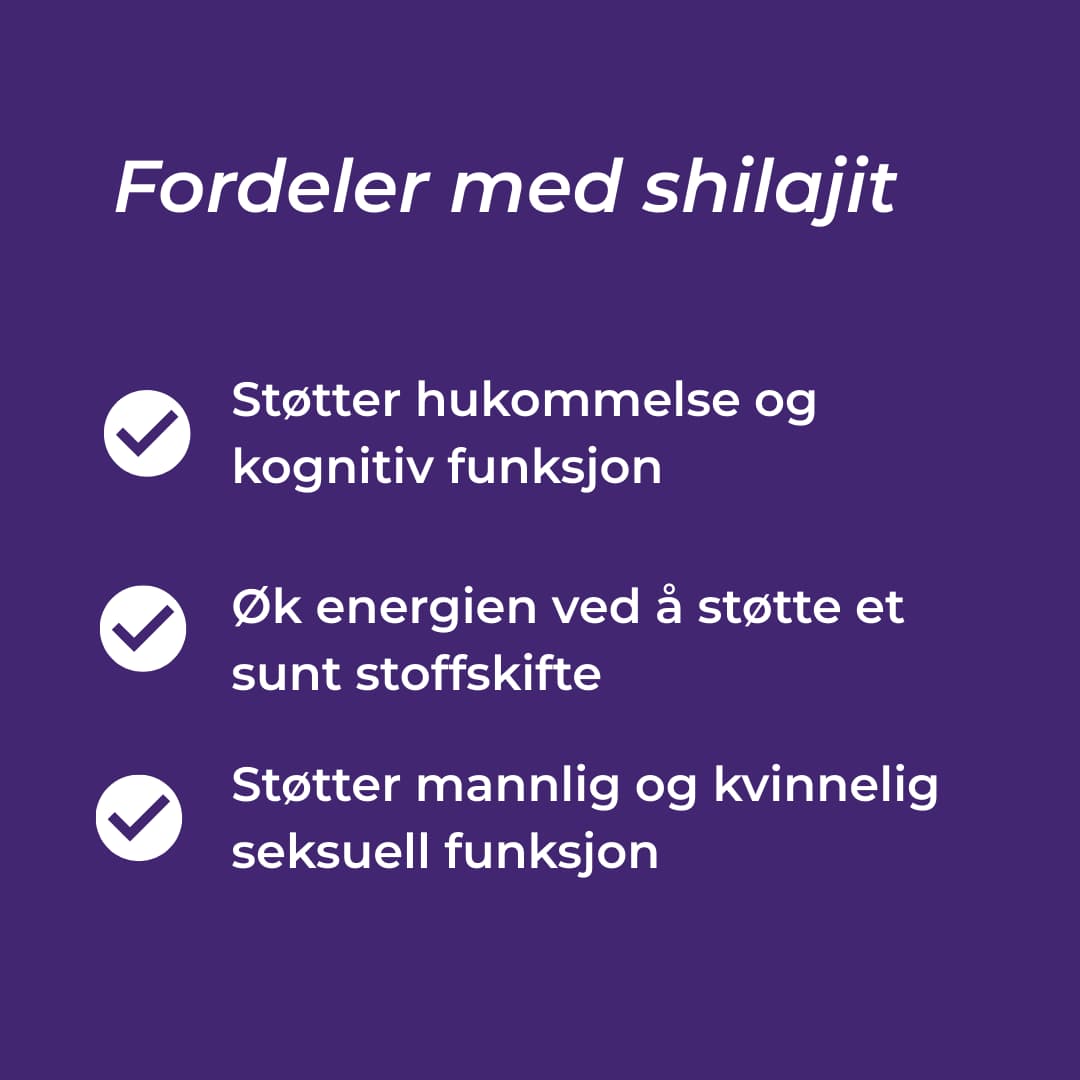 shilajit fordeler