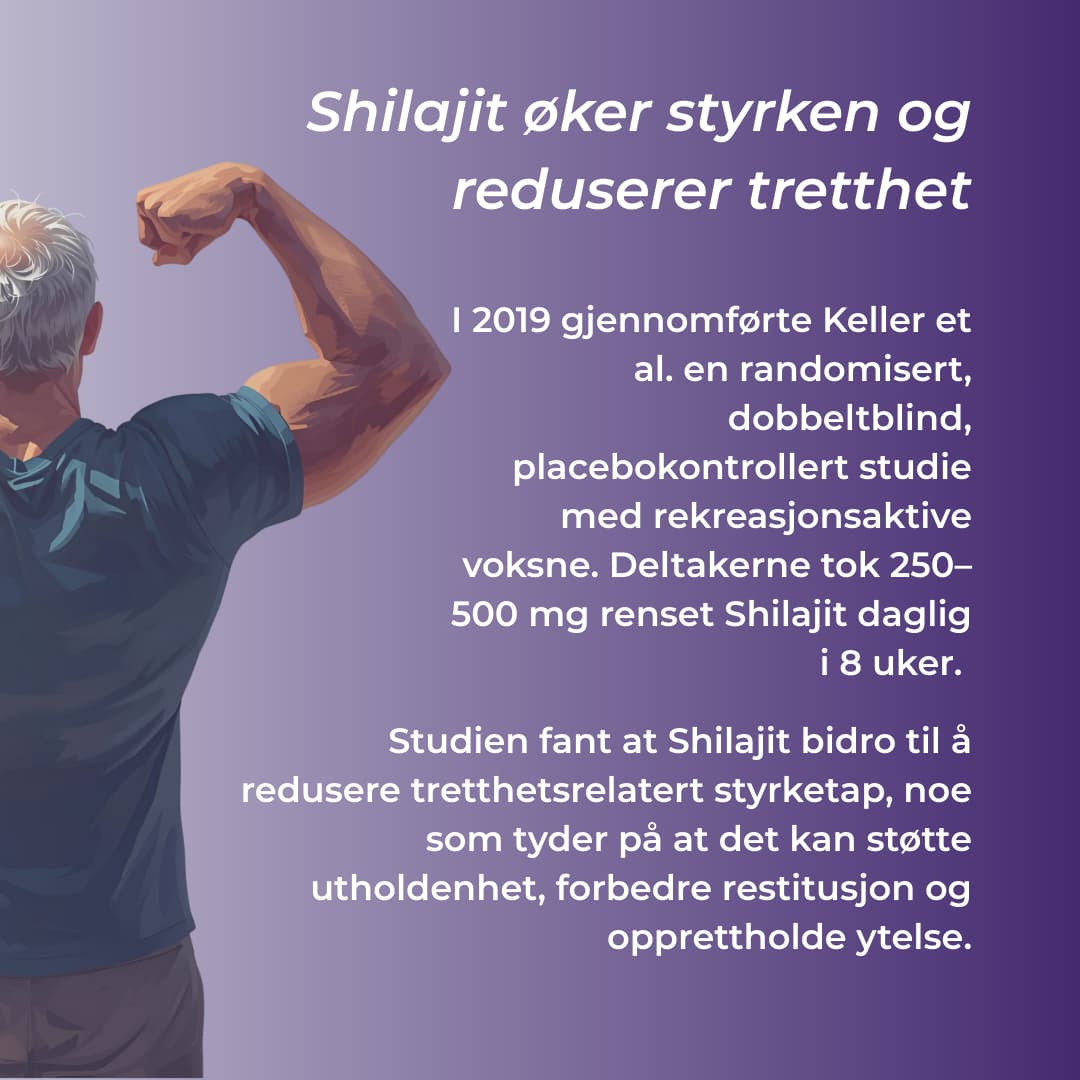 shilajit oker styrken og reduserer tretthet
