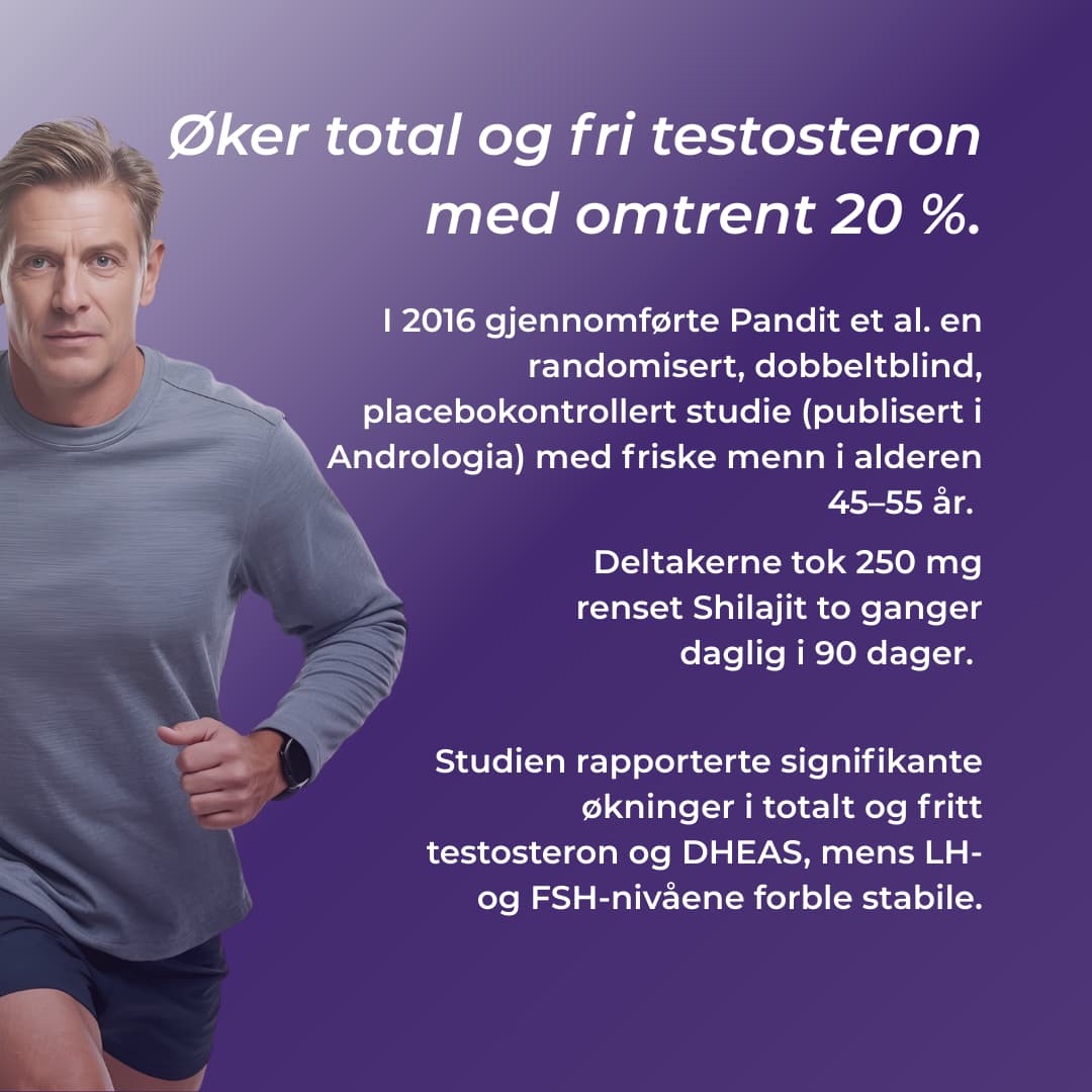 shilajit oker testosteron