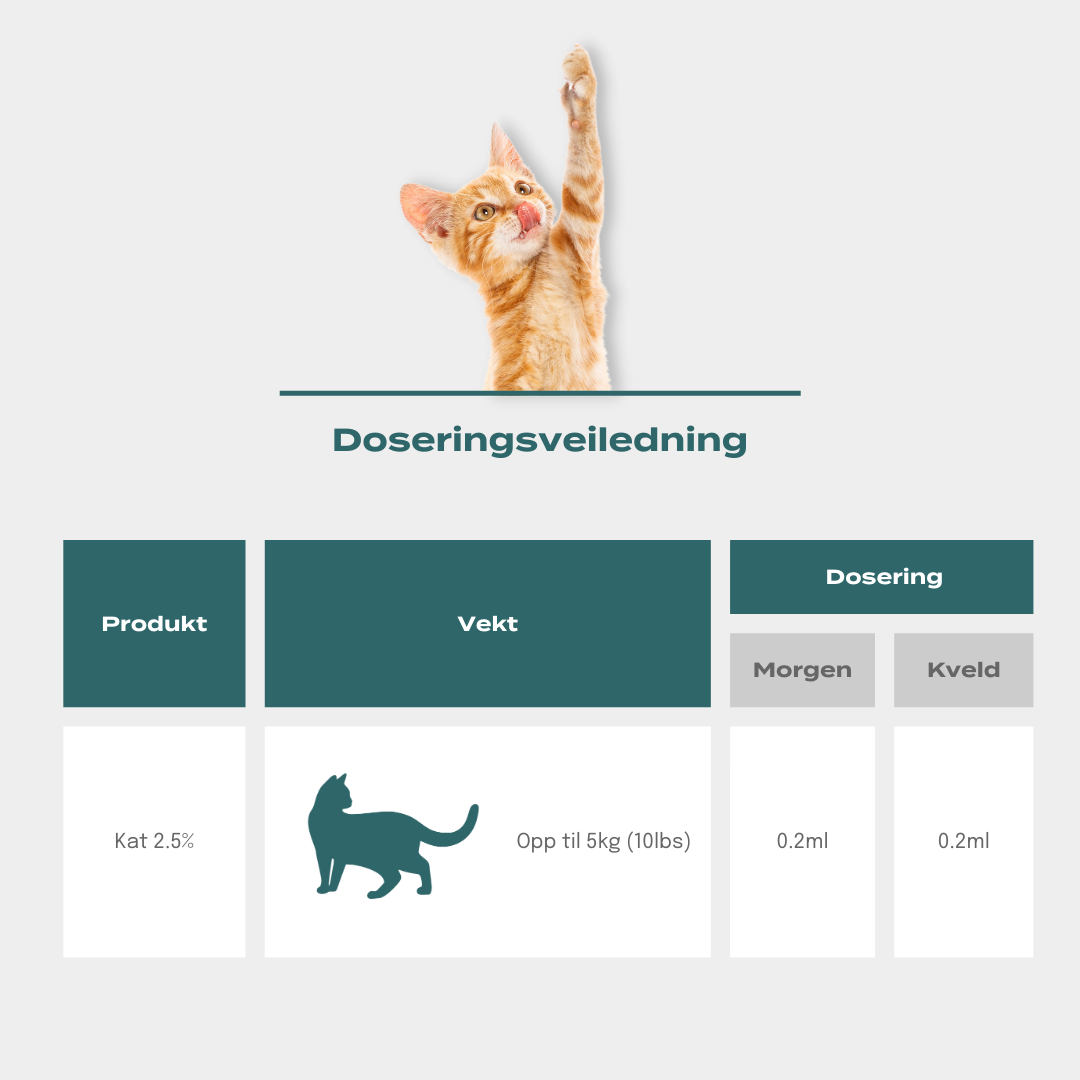 Hvor mye CBD kan jeg gi katten min?