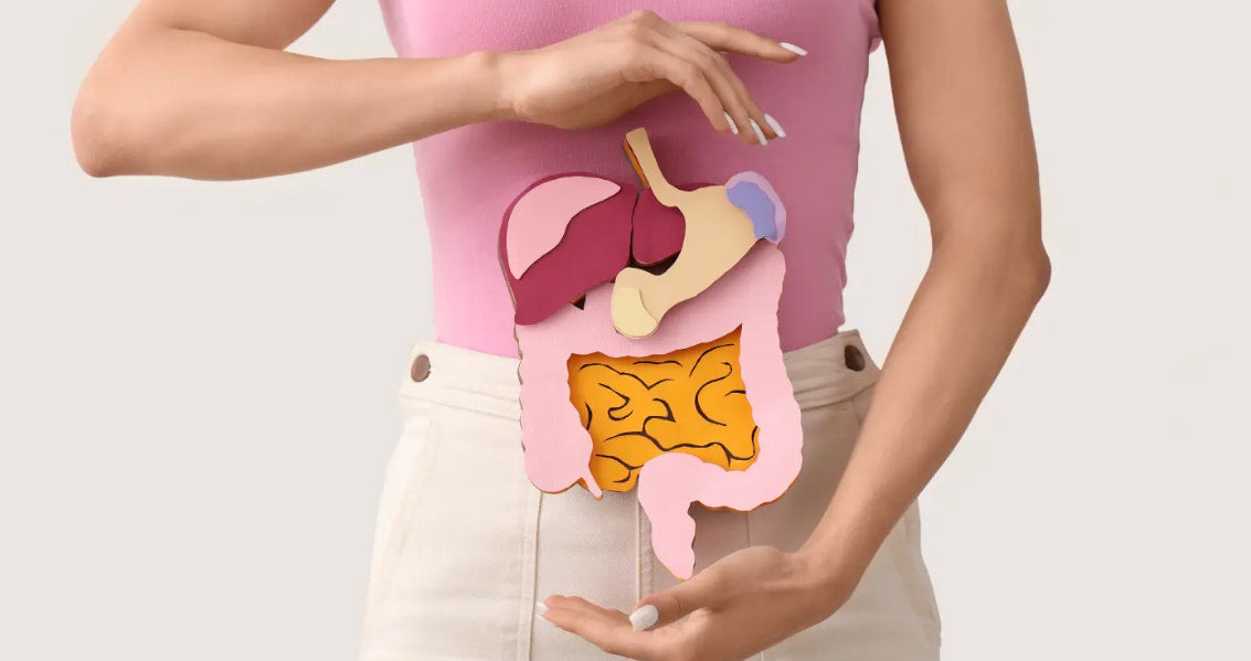 Hva er fordøyelsesenzymer