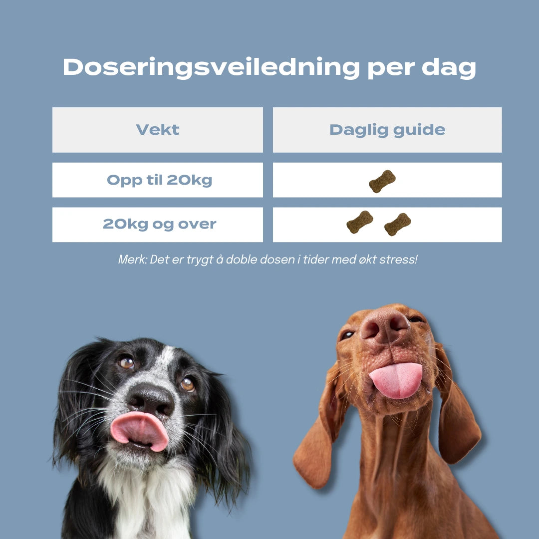 dosering 