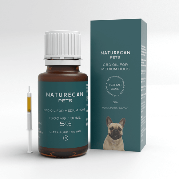 CBD Olje til hund