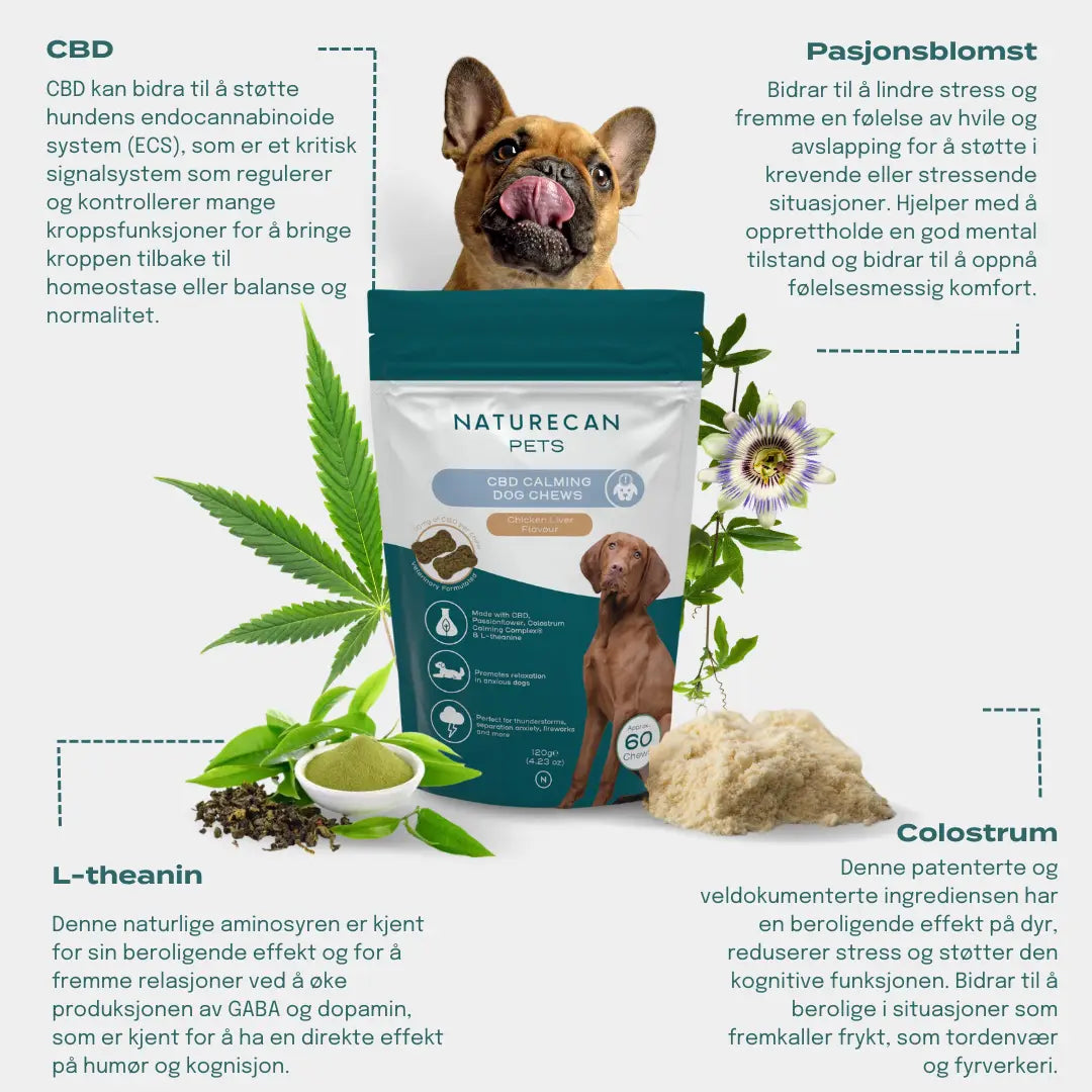 Beroligende Hundegodbiter
