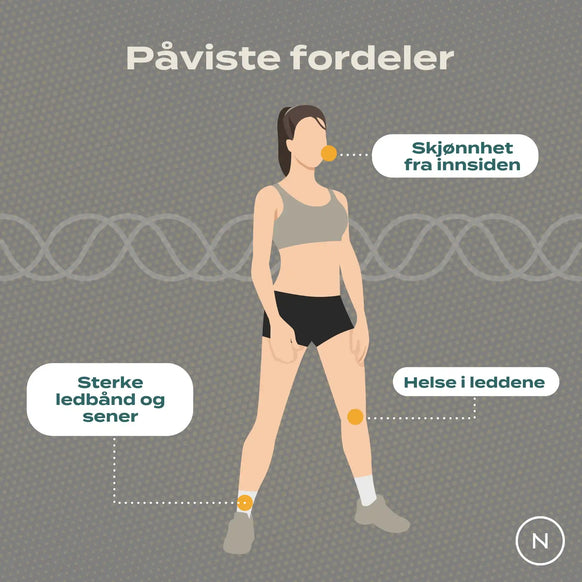 Fordeler kollagen