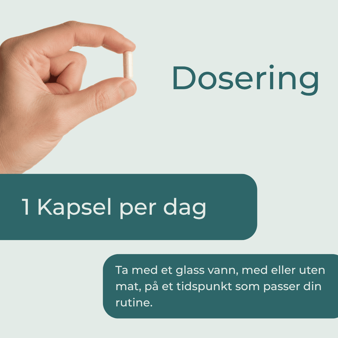 dosering sink 