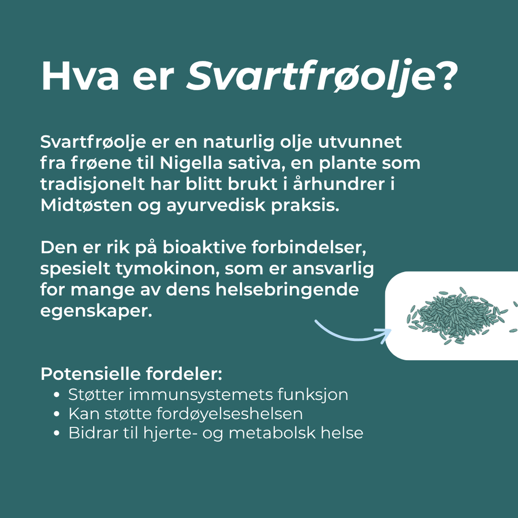 hva er Svartfrøolje
