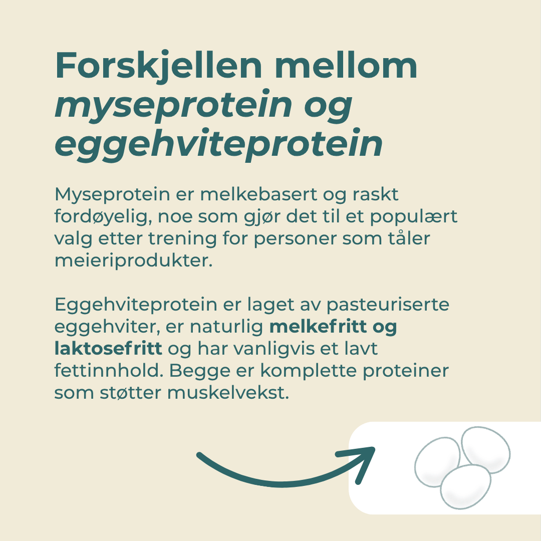 Egg Protein og myseprotein