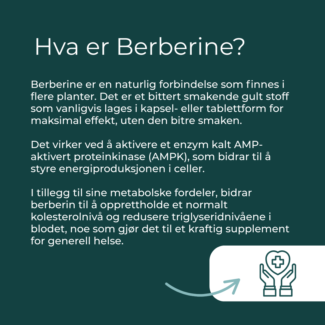 hva er berberine