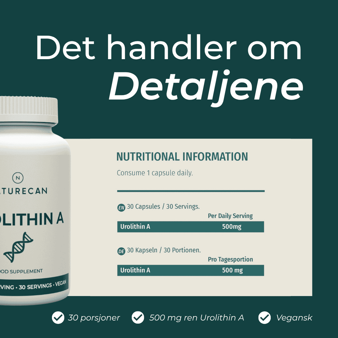 detaljene om Urolithin A