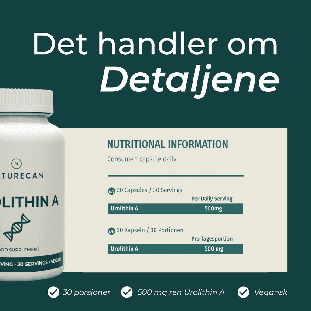 detaljene om Urolithin A