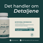 nutritional information alpha gpc