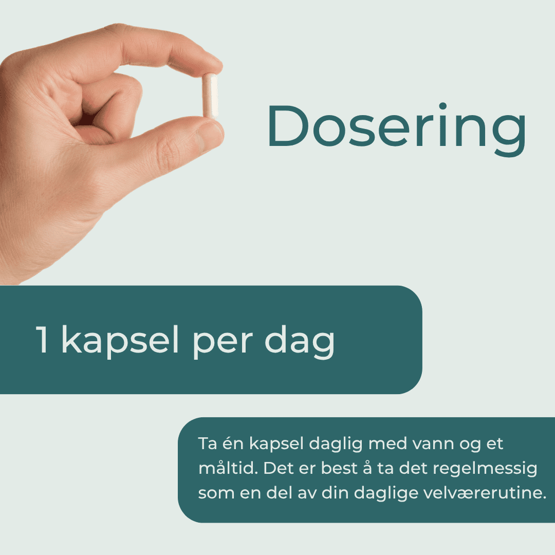dosering av Berberine 