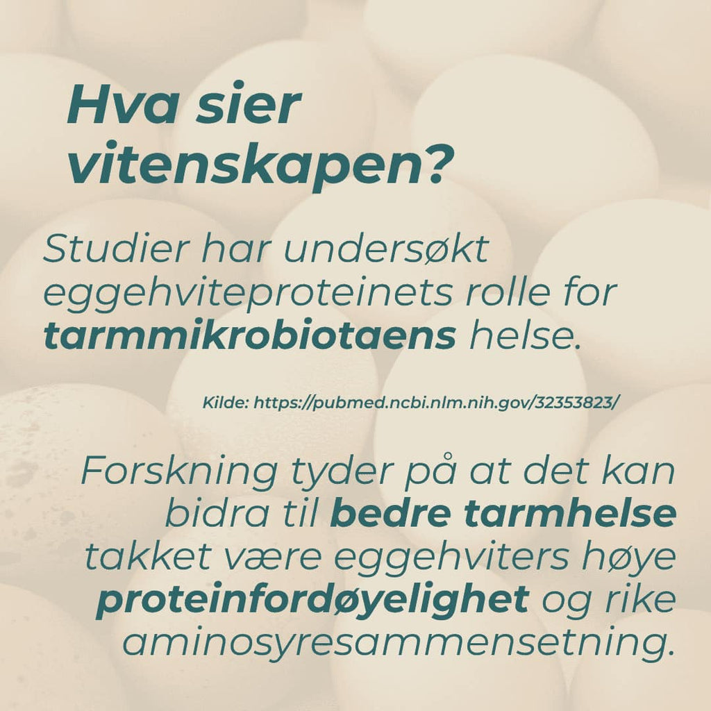Egg Protein og tarmhelse