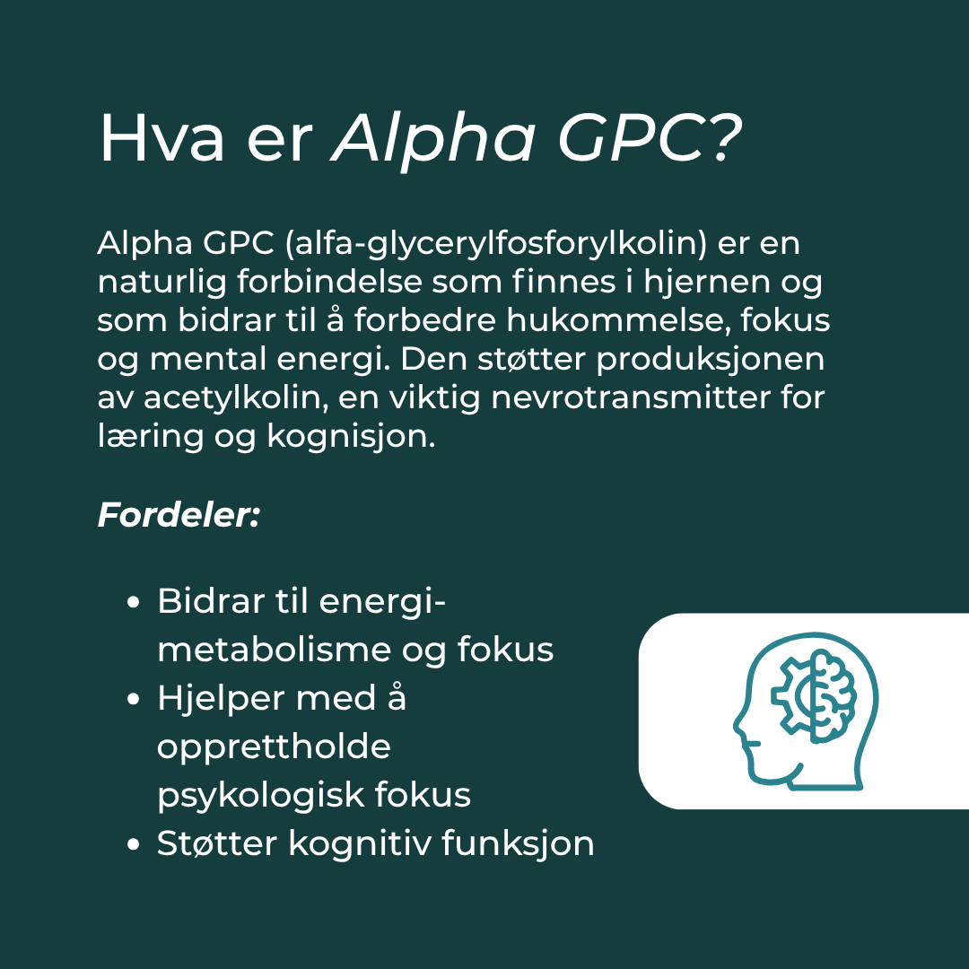 hva er alpha gpc?