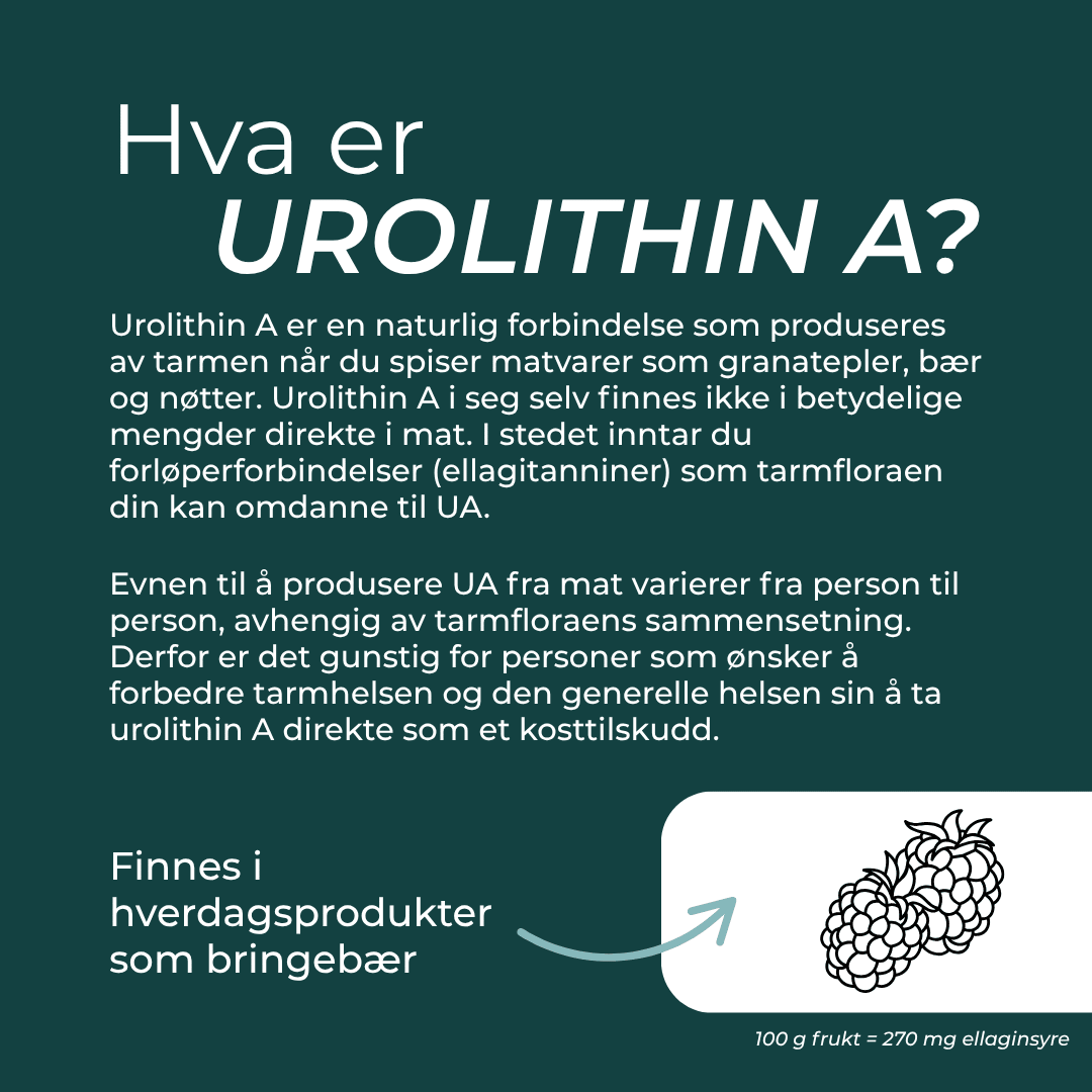 hva er Urolithin A