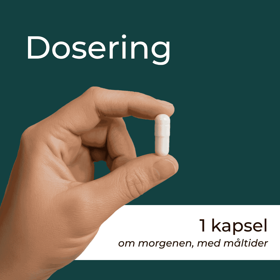 Urolithin A dosering