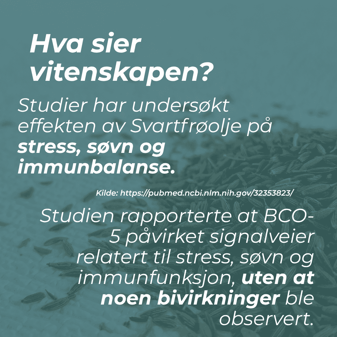 Svartfrøolje og stress