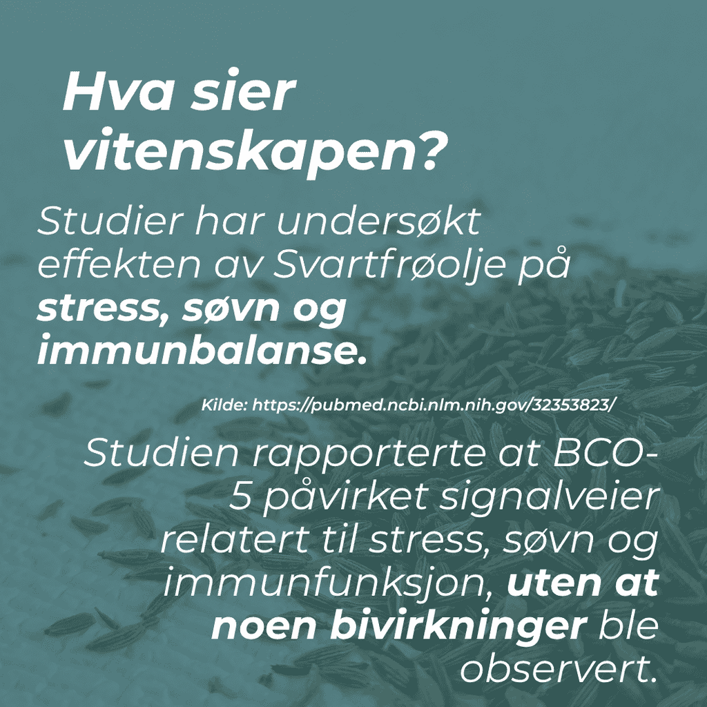 Svartfrøolje og stress