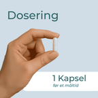Svartfrøolje dosering