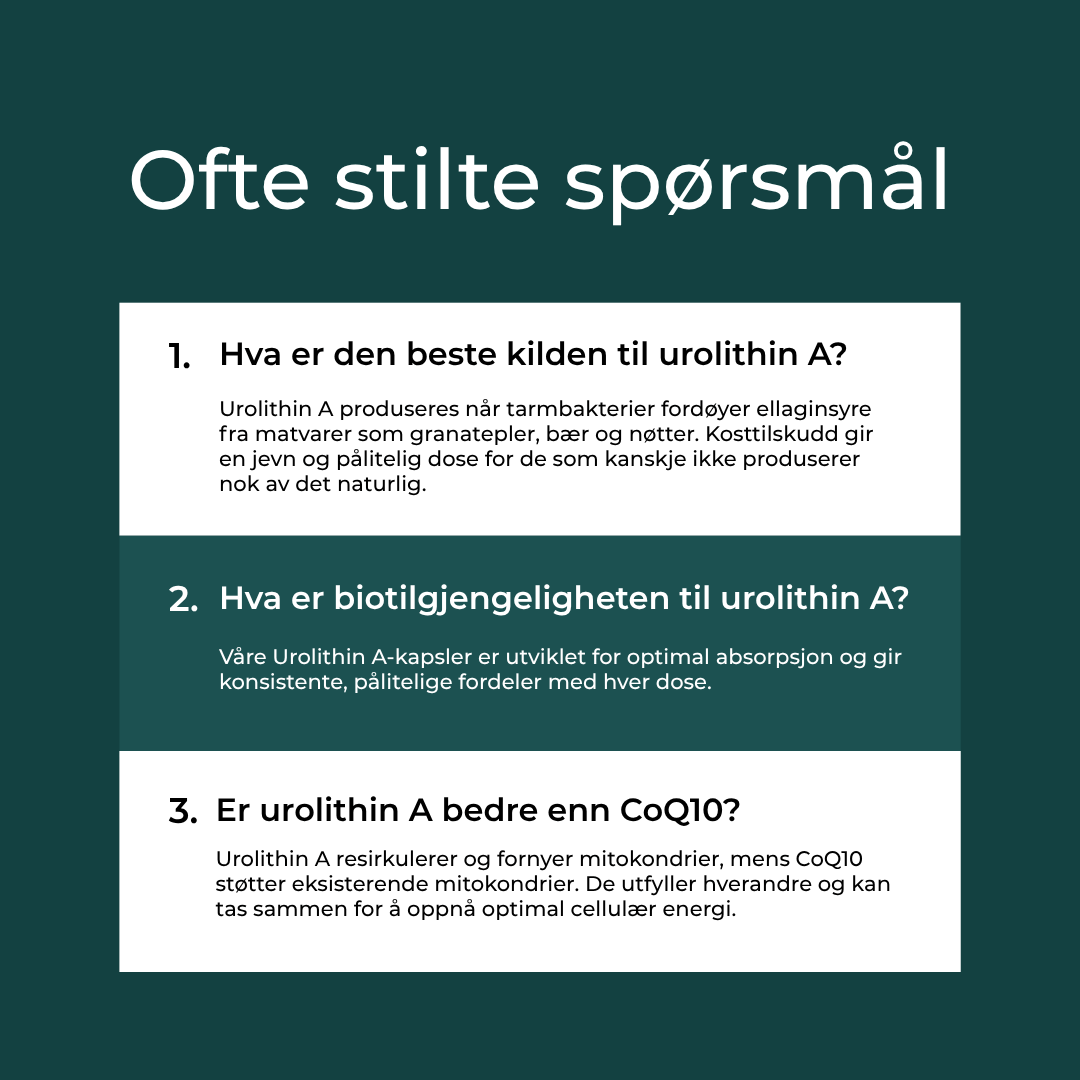 Er urolithin A bedre enn CoQ10?