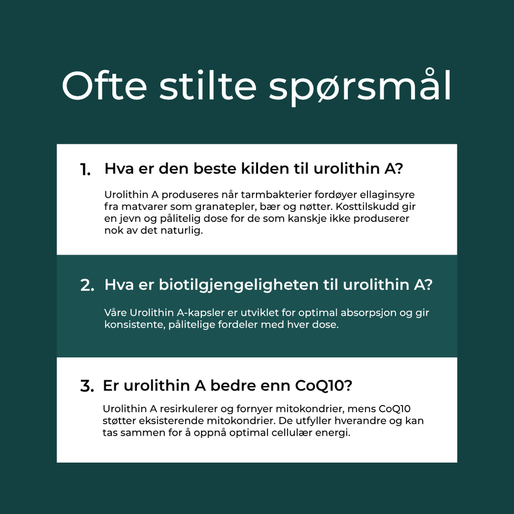 Er urolithin A bedre enn CoQ10?