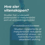 hva sier vitenskapen om metylenblått
