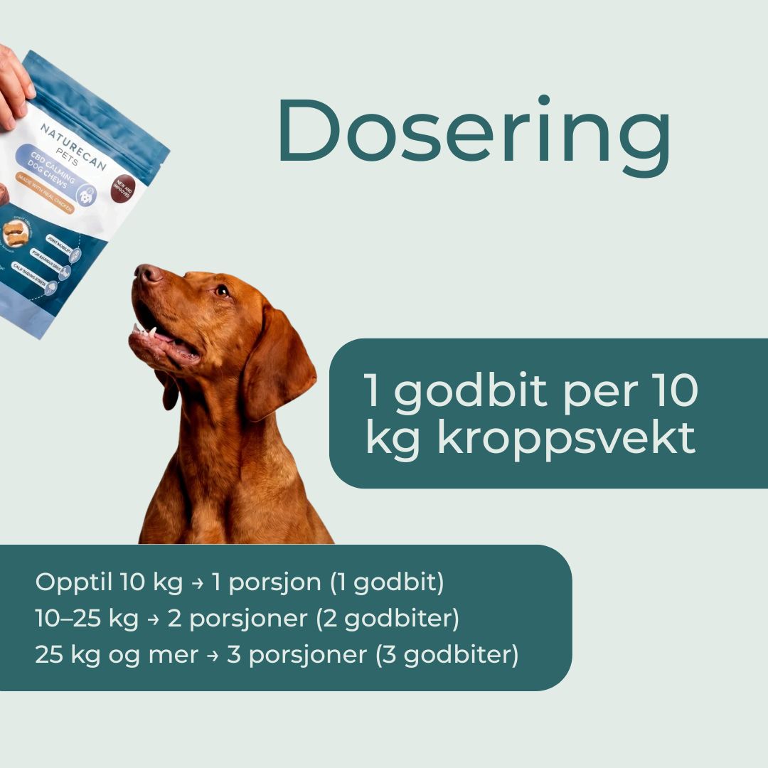 dosering CBD-hundegodbids 