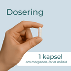  dosering av Ingefær Tabletter