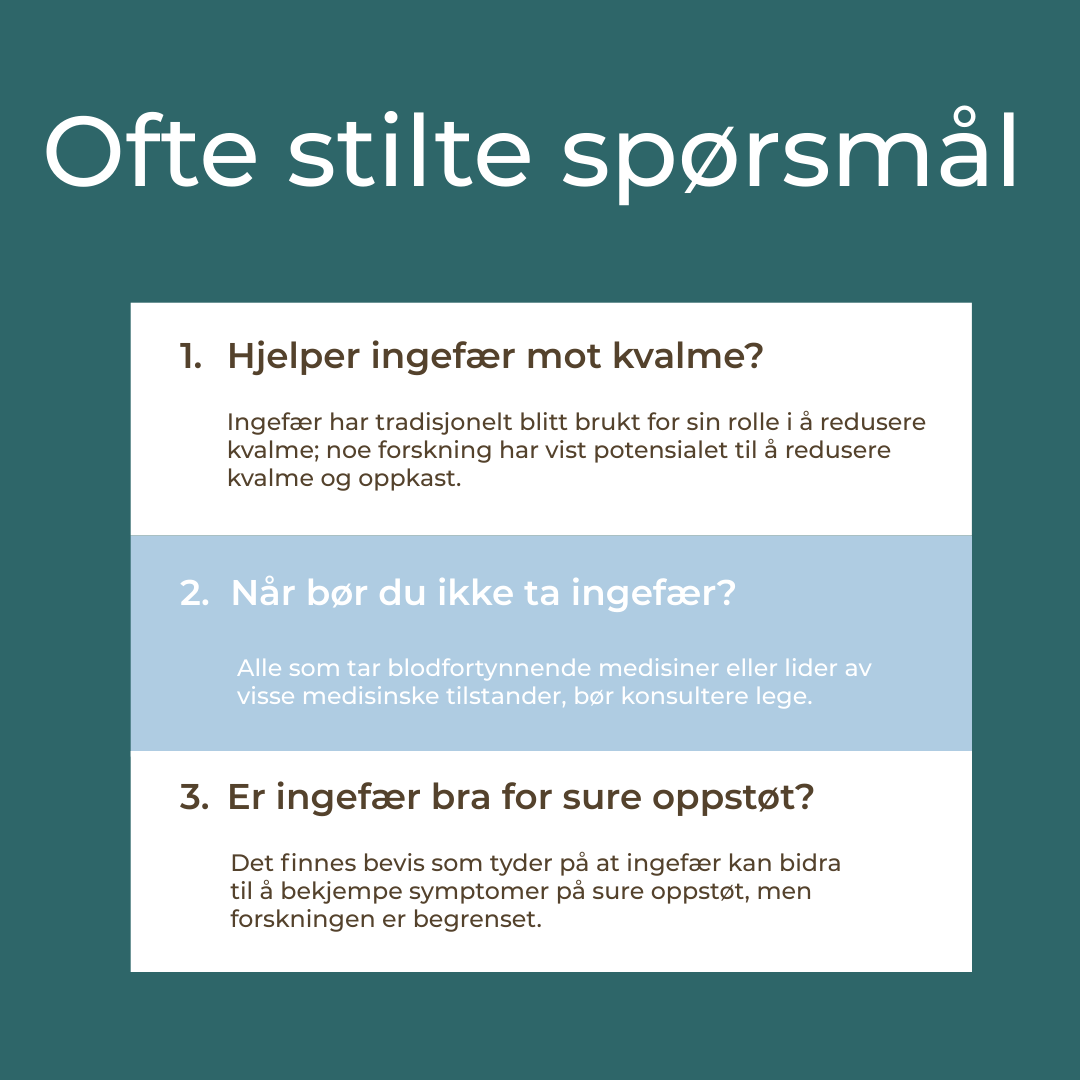 hva er ingefærrot