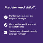 shilajit fordeler
