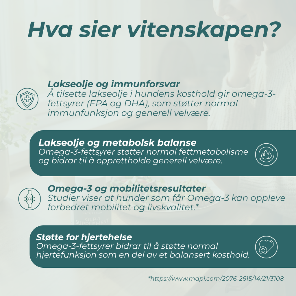 Lakseolje hund - Omega-3