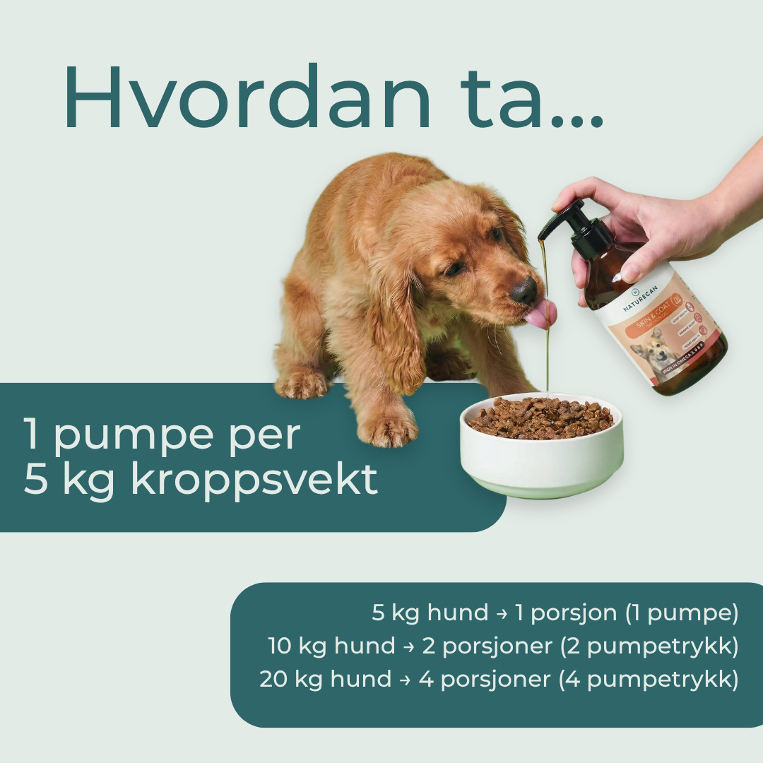 hvordan ta lakseolje hund