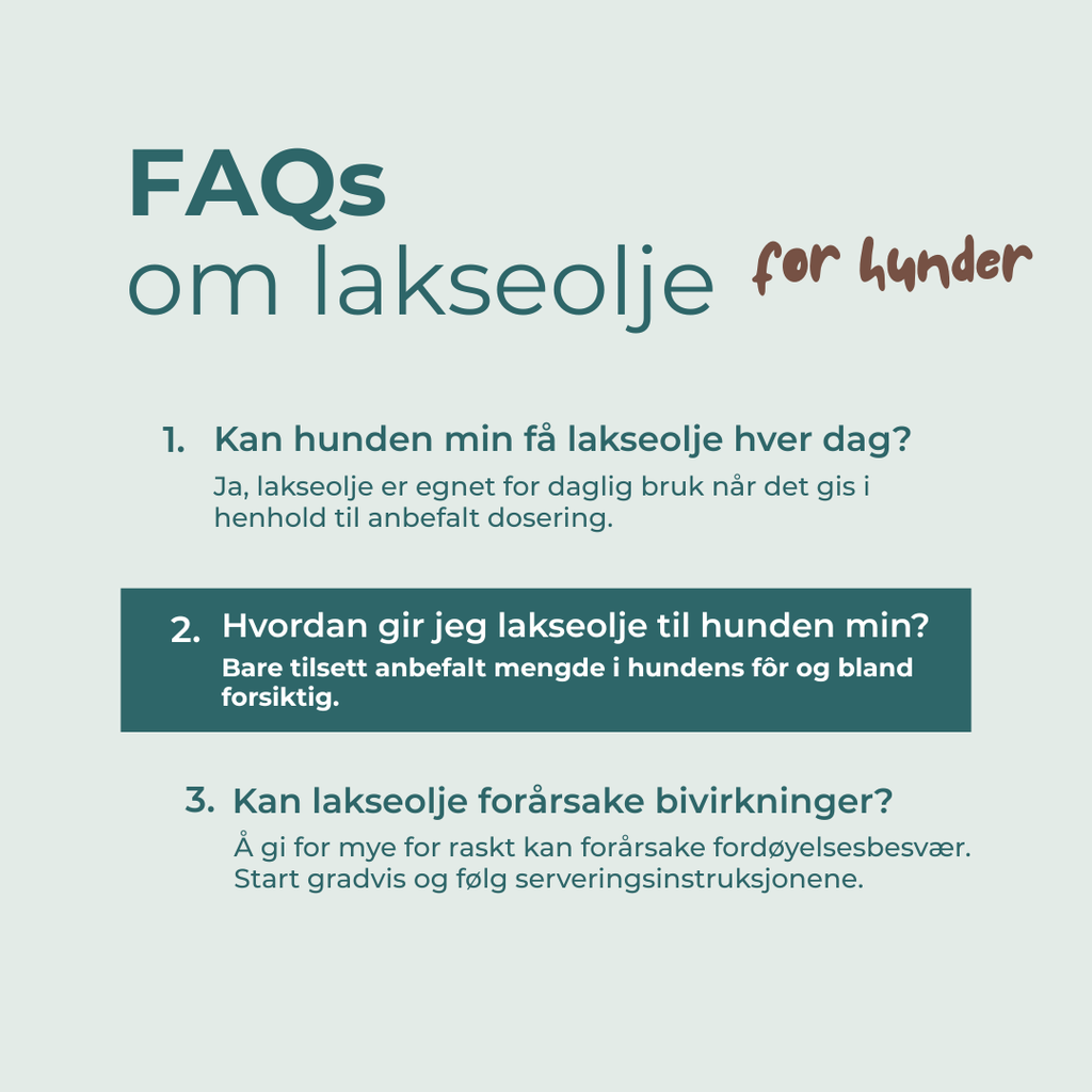 FAQs on lakselje for hunder