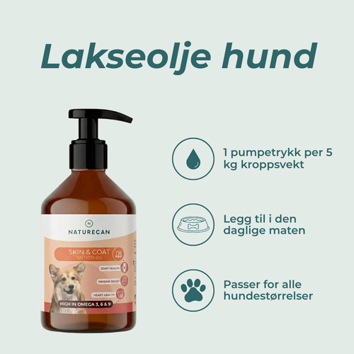 fordeler lakseolje hund