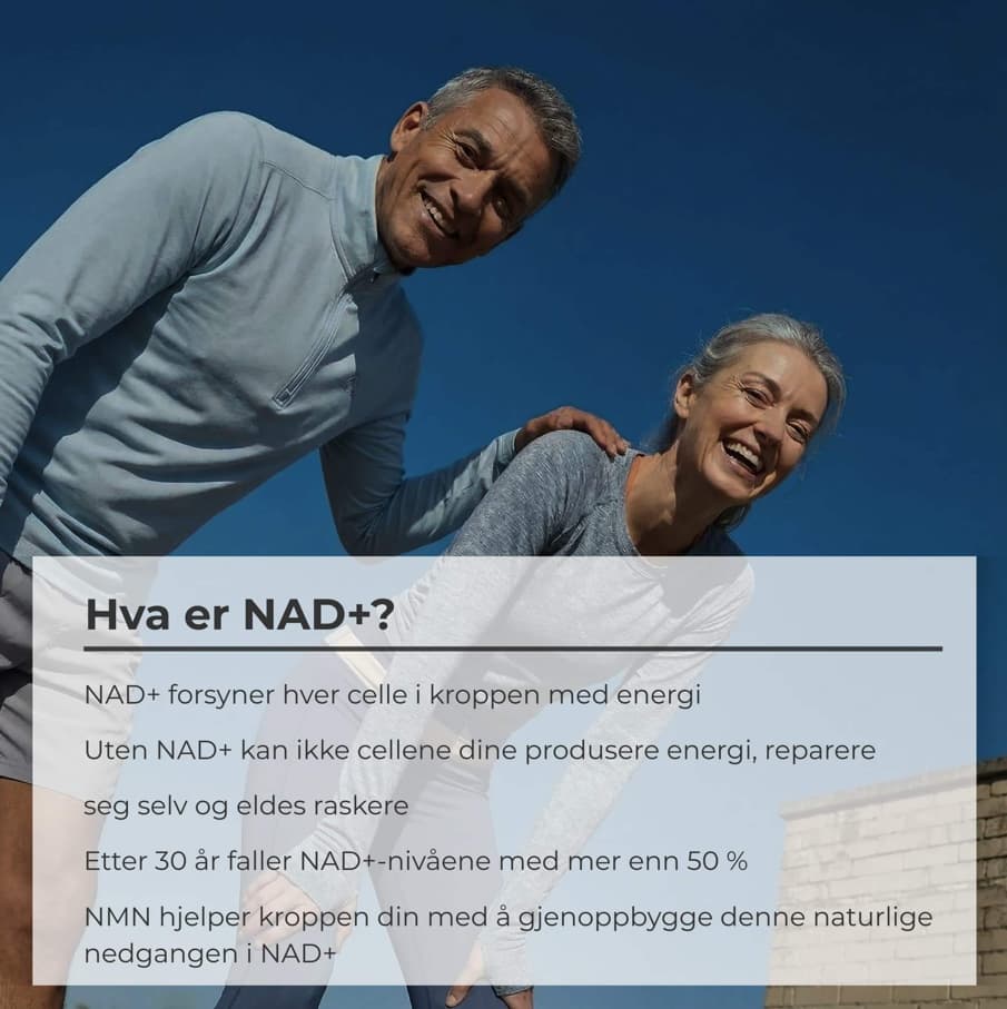 Hva er NAD+?
