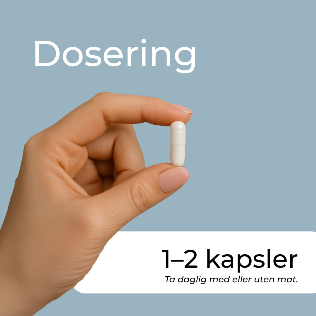 kalsium dosering