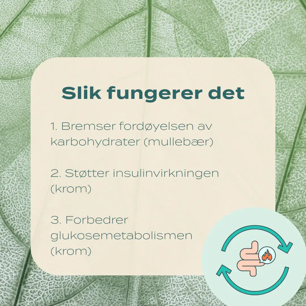 slik fungerer reducose