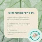 slik fungerer reducose