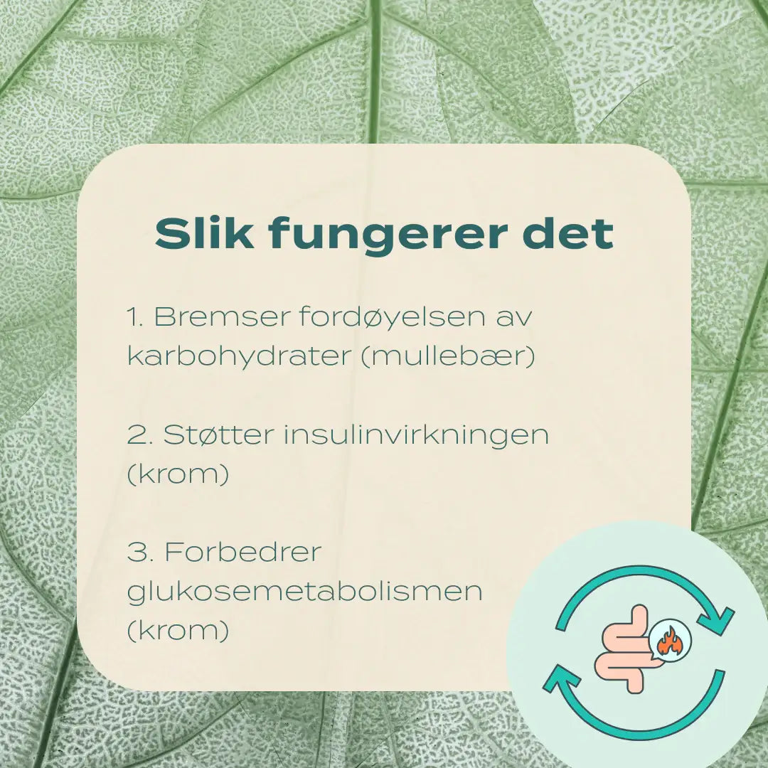 slik fungerer reducose